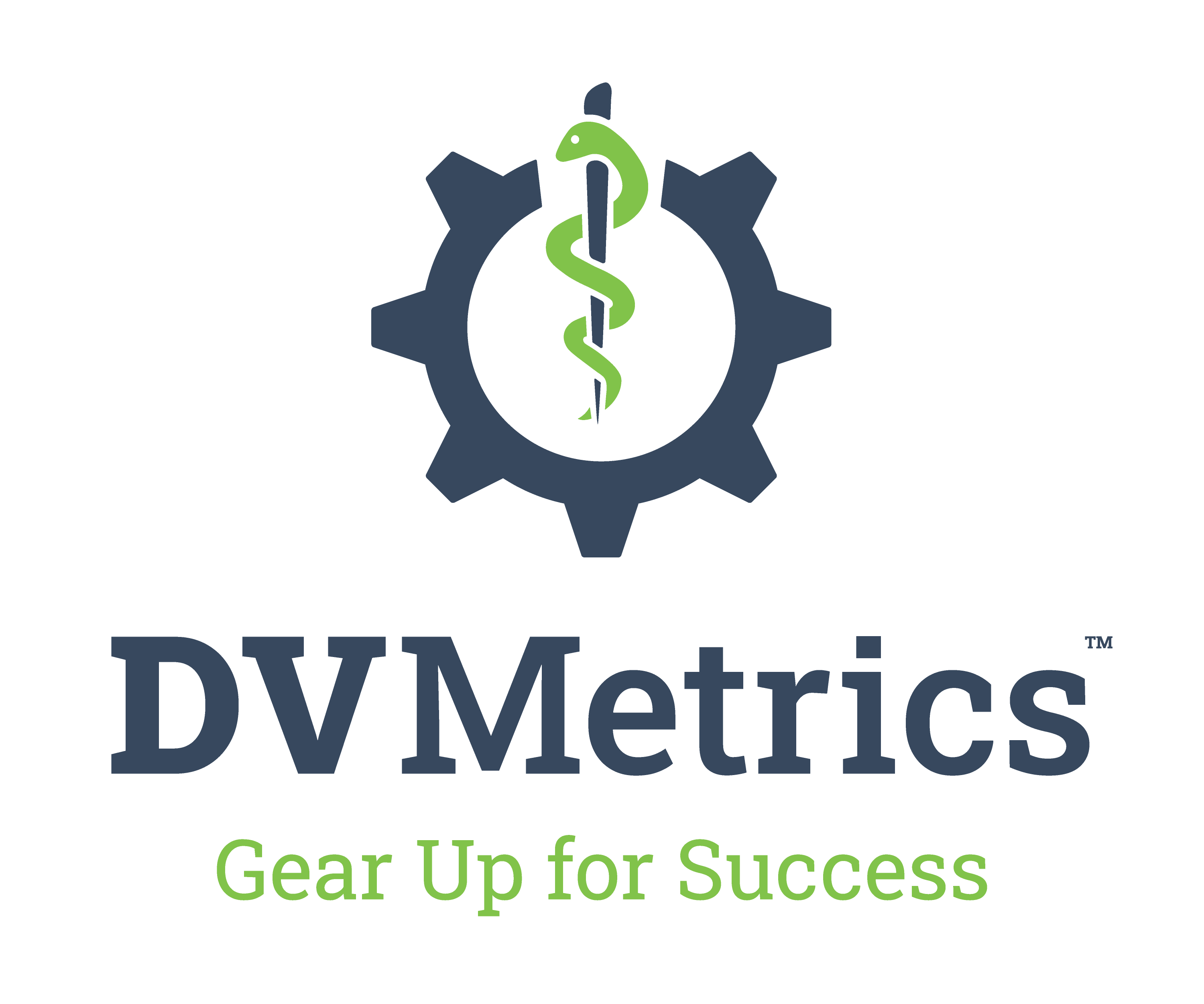 DVMetrics Logo