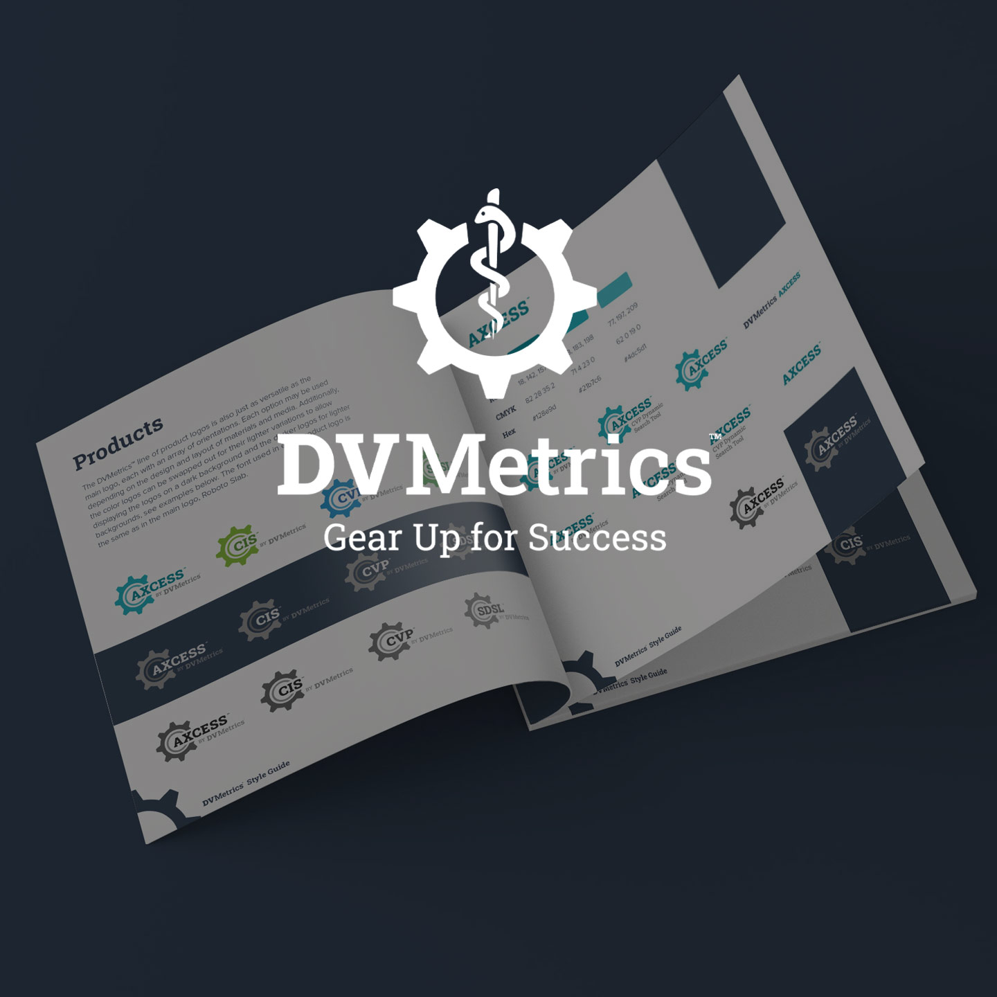 DV Metrics