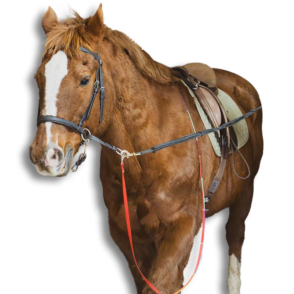 Fully tacked brown horse with white patch on muzzle 